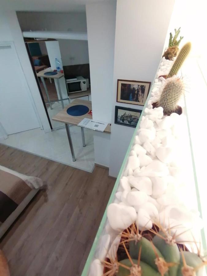 Apartman Dunja S Belgrado Esterno foto